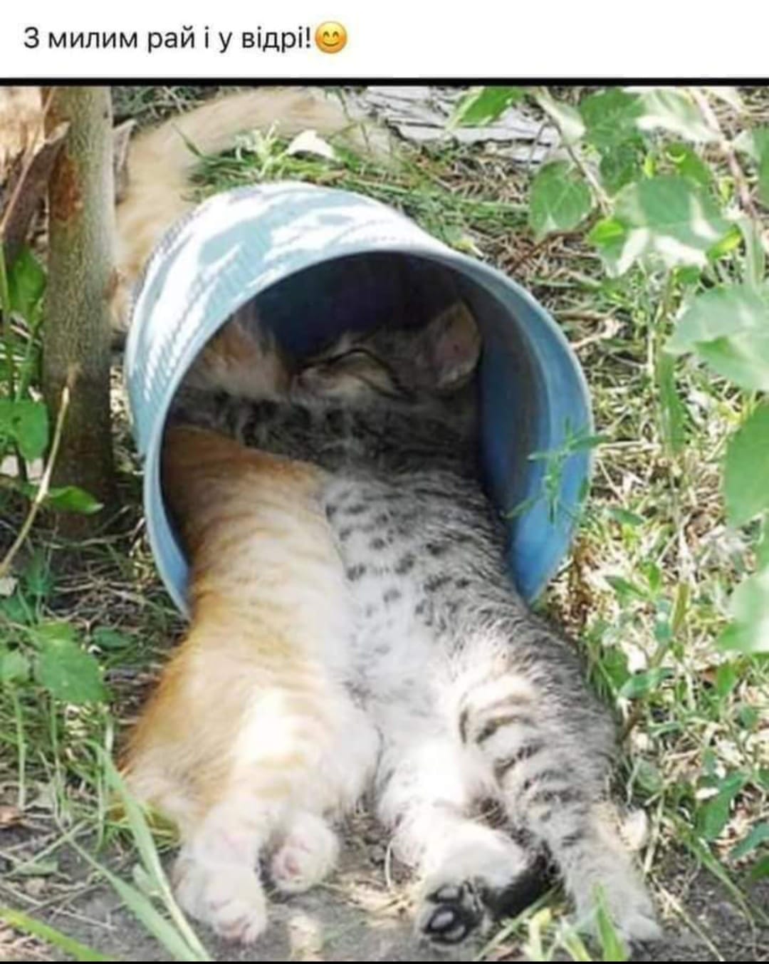 Цитати і афоризми про кохання і любов