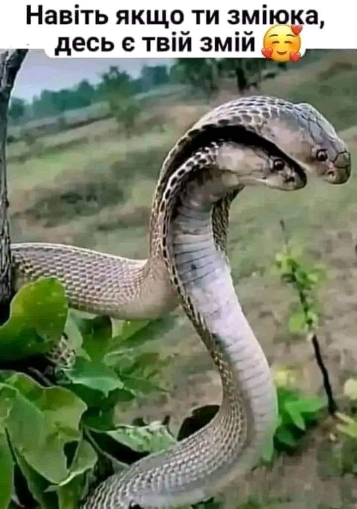 Цитати і афоризми про кохання і любов