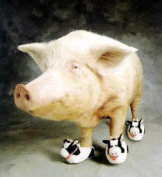 Цитати і афоризми про тварин