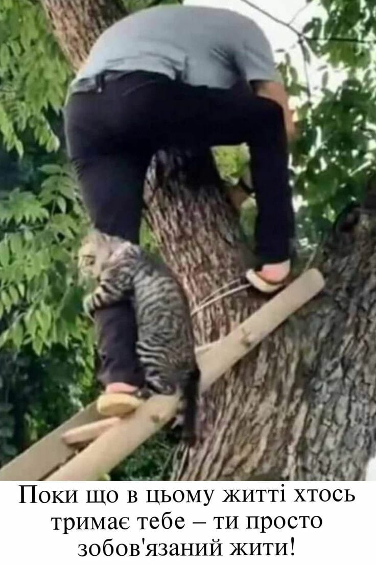 Цитати і афоризми про життя