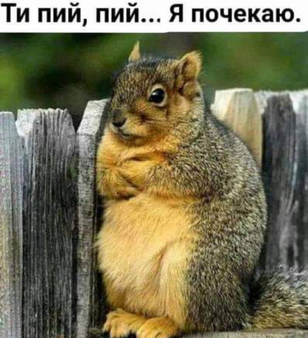 Анекдоти про алкоголь