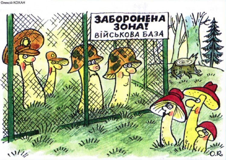 Анекдоти про армію