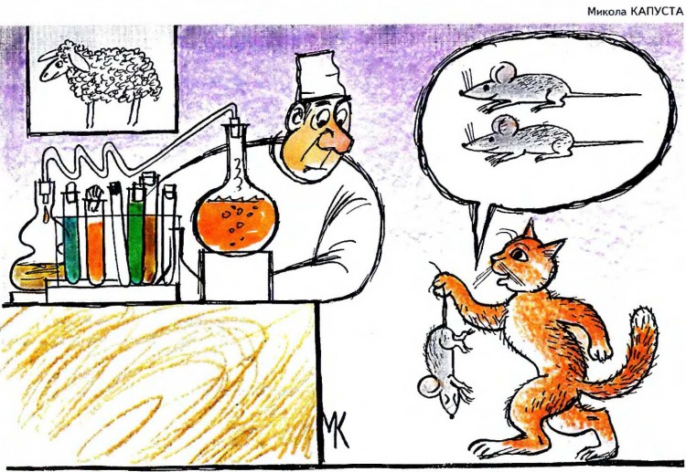 Анекдоти про котів