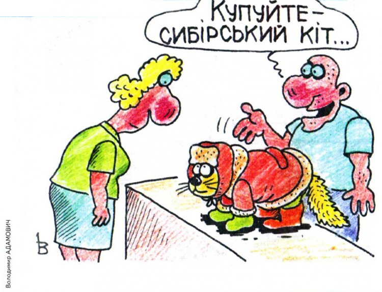 Анекдоти про котів