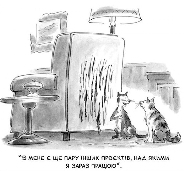 Анекдоти про котів