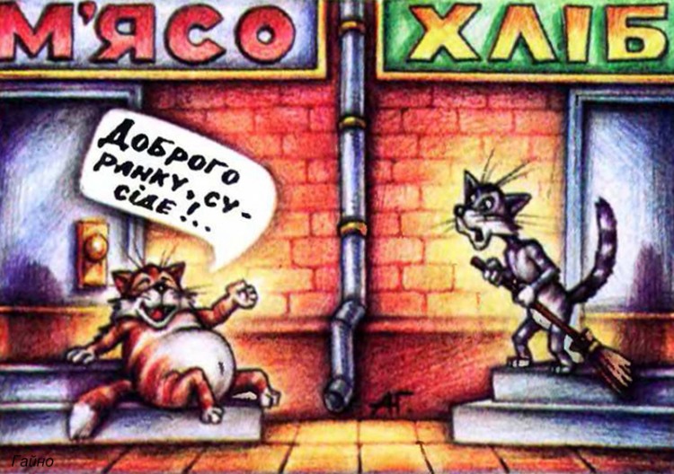 Анекдоти про котів
