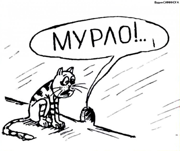 Анекдоти про котів
