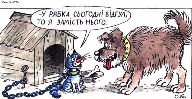 Анекдоти про котів