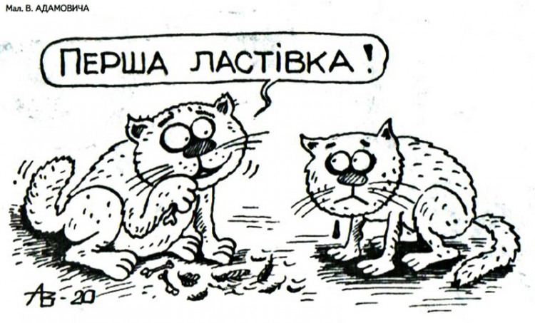 Анекдоти про котів