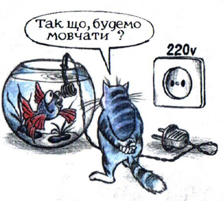 Анекдоти про котів