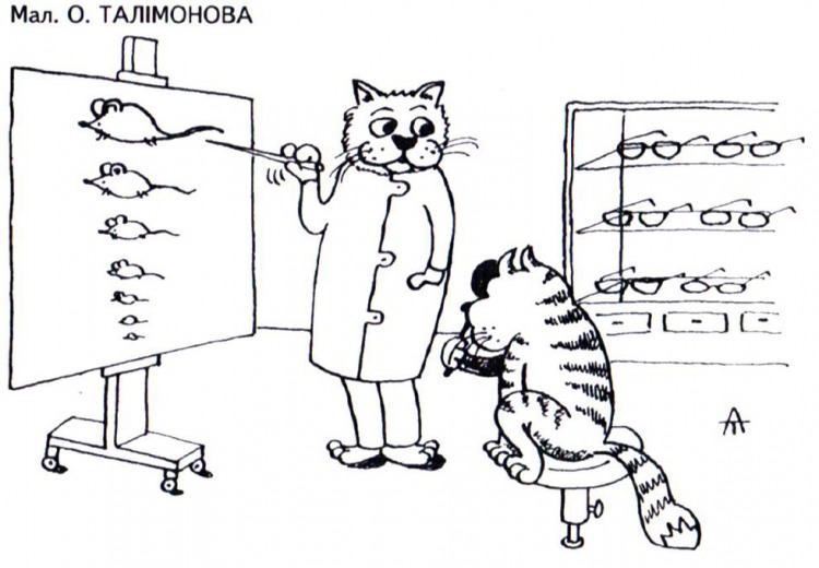 Анекдоти про котів