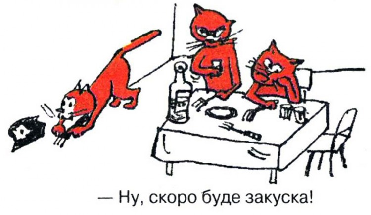 Анекдоти про котів