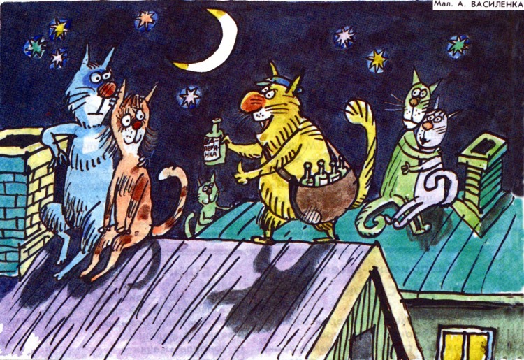 Анекдоти про котів