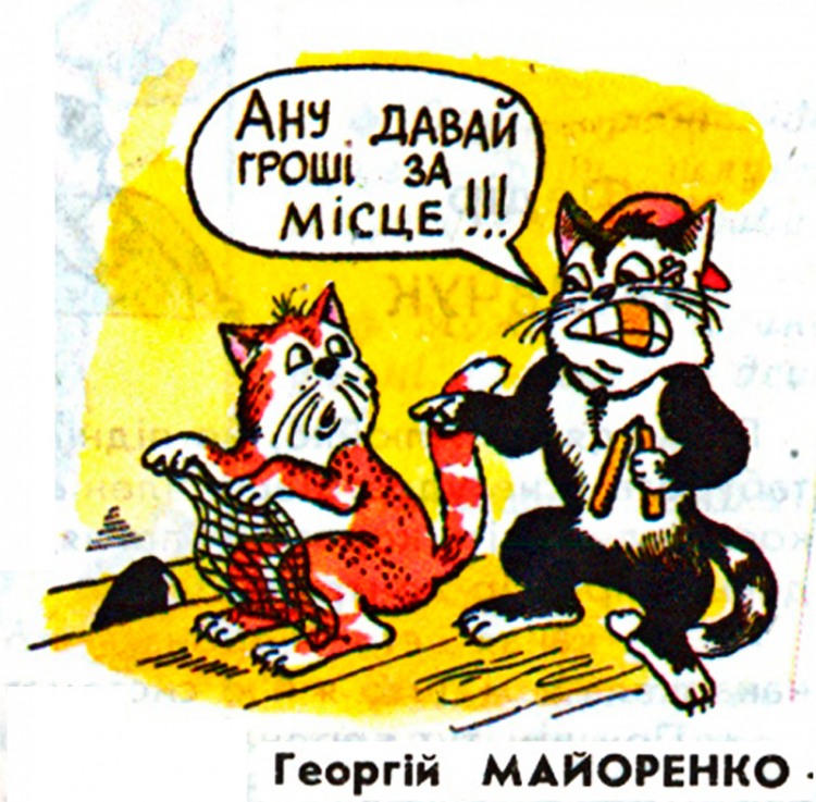 Анекдоти про котів
