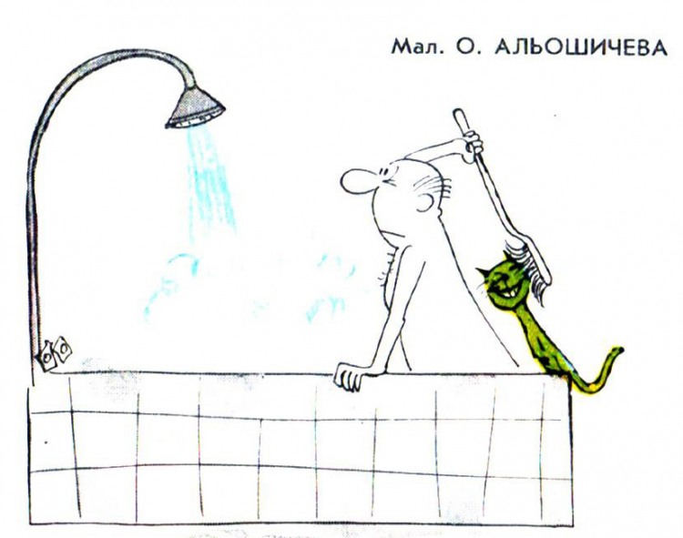 Анекдоти про котів