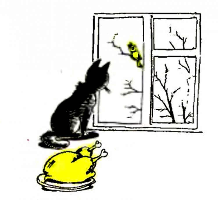 Анекдоти про котів