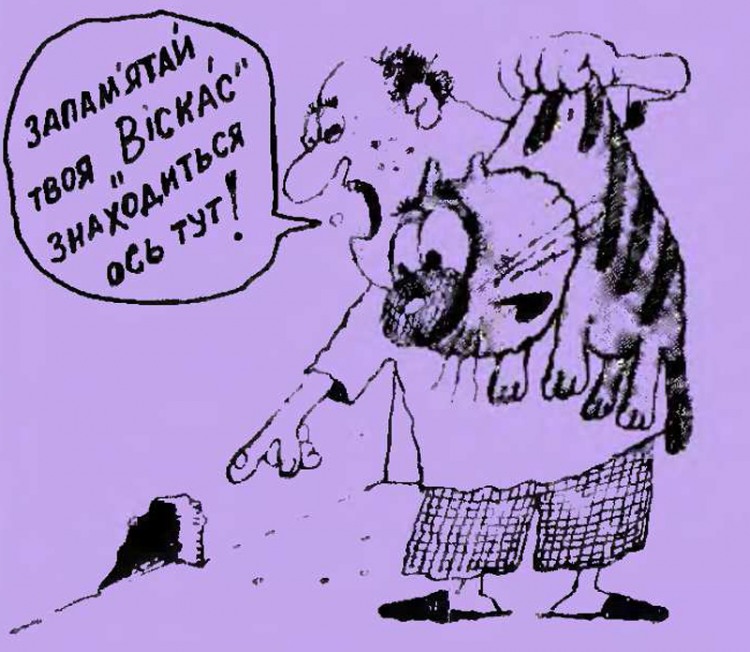 Анекдоти про котів