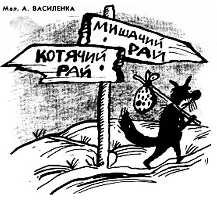 Анекдоти про котів