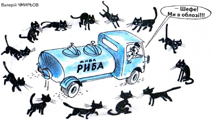 Анекдоти про котів