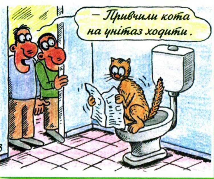 Анекдоти про котів