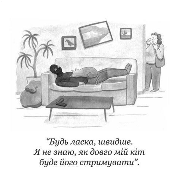 Анекдоти про котів