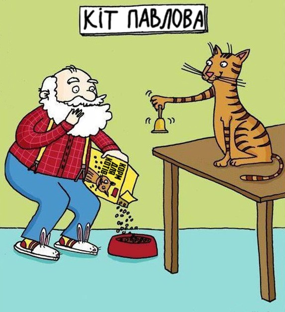 Анекдоти про котів