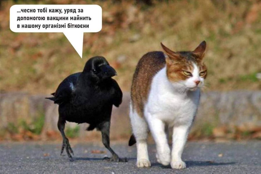 Анекдоти про ковід