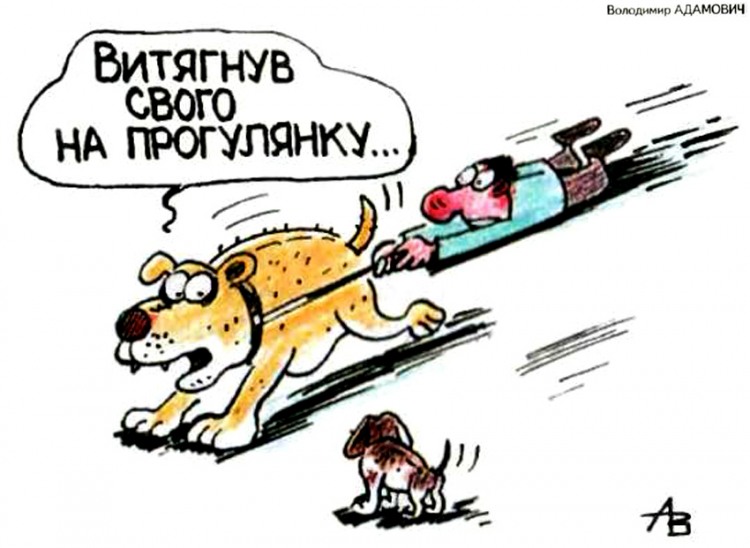 Анекдоти про собак