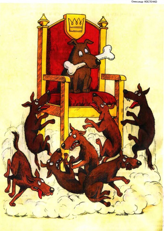 Анекдоти про собак