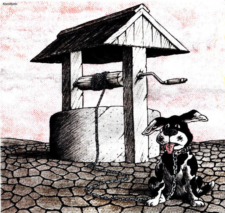 Анекдоти про собак