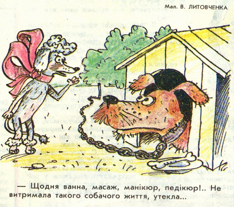 Анекдоти про собак