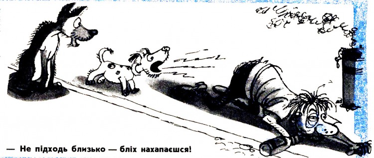 Анекдоти про собак