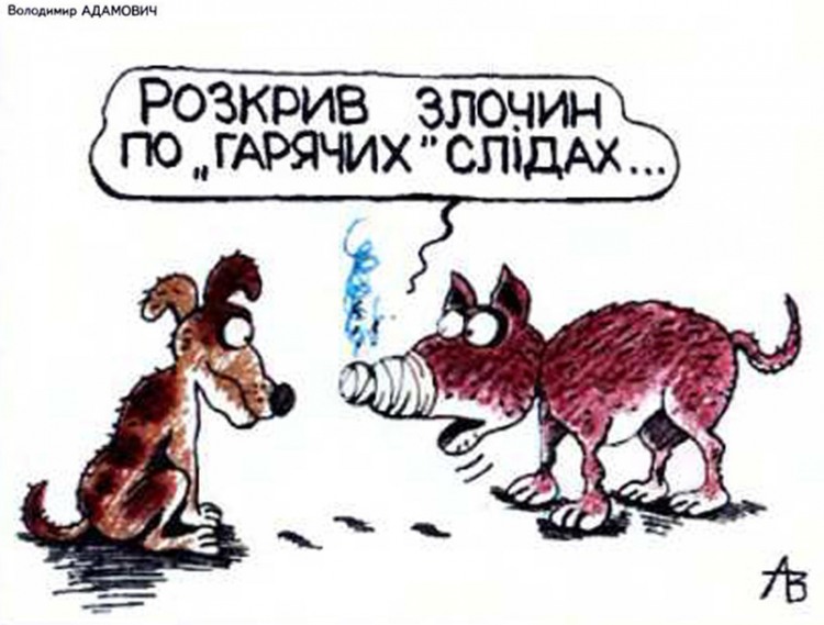 Анекдоти про собак