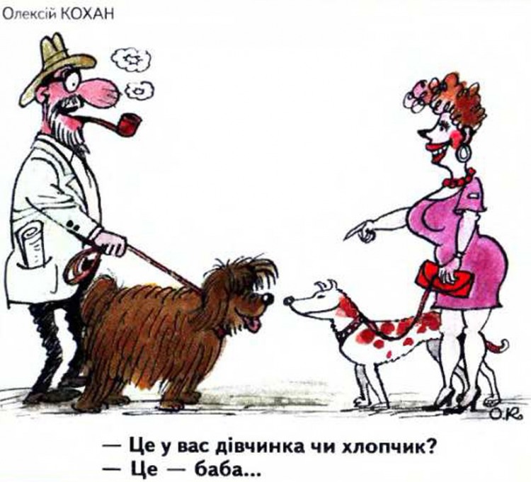 Анекдоти про собак
