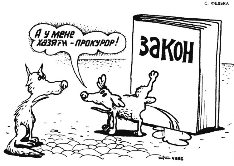 Анекдоти про собак