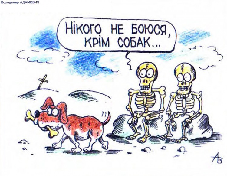 Анекдоти про собак