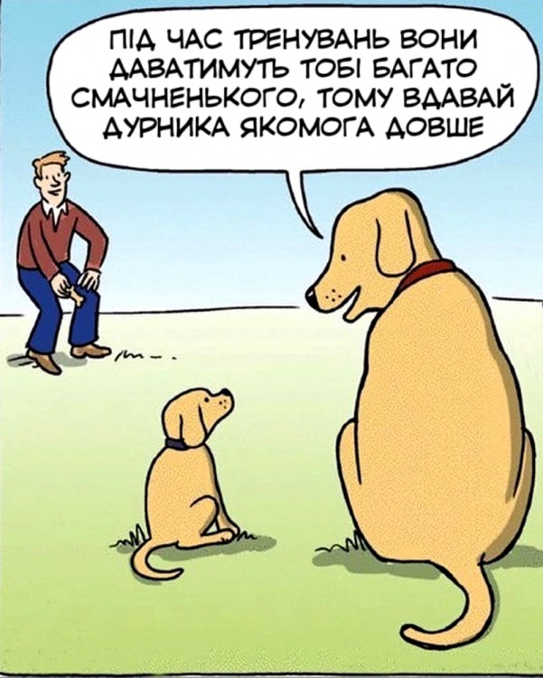 Анекдоти про собак