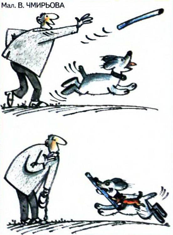 Анекдоти про собак