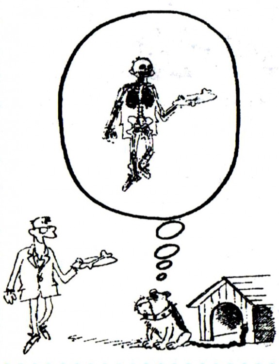 Анекдоти про собак