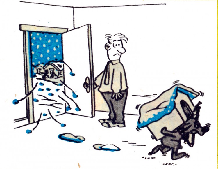 Анекдоти про собак