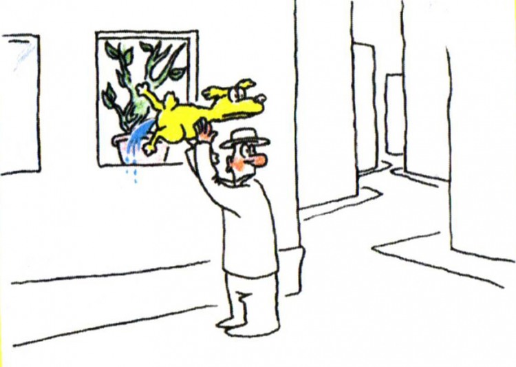 Анекдоти про собак