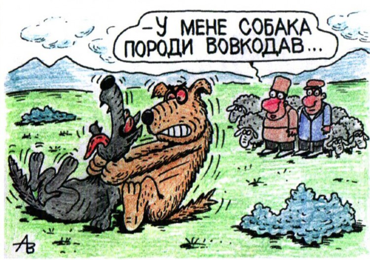 Анекдоти про собак