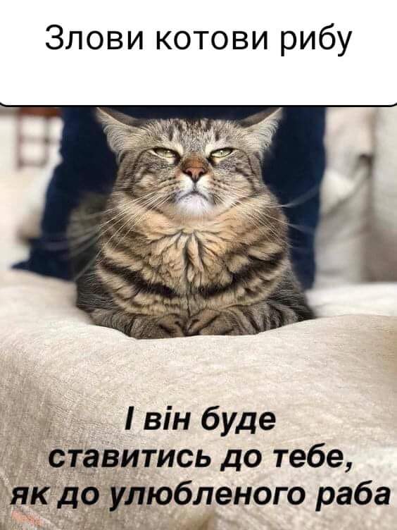 Анекдоти про риболовлю