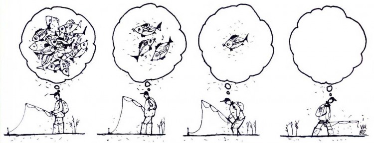 Анекдоти про риболовлю