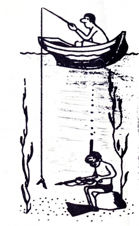 Анекдоти про риболовлю