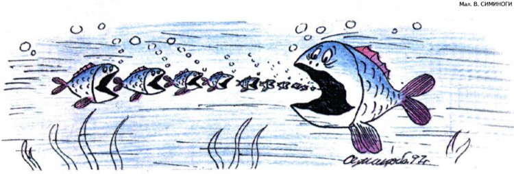 Анекдоти про риболовлю