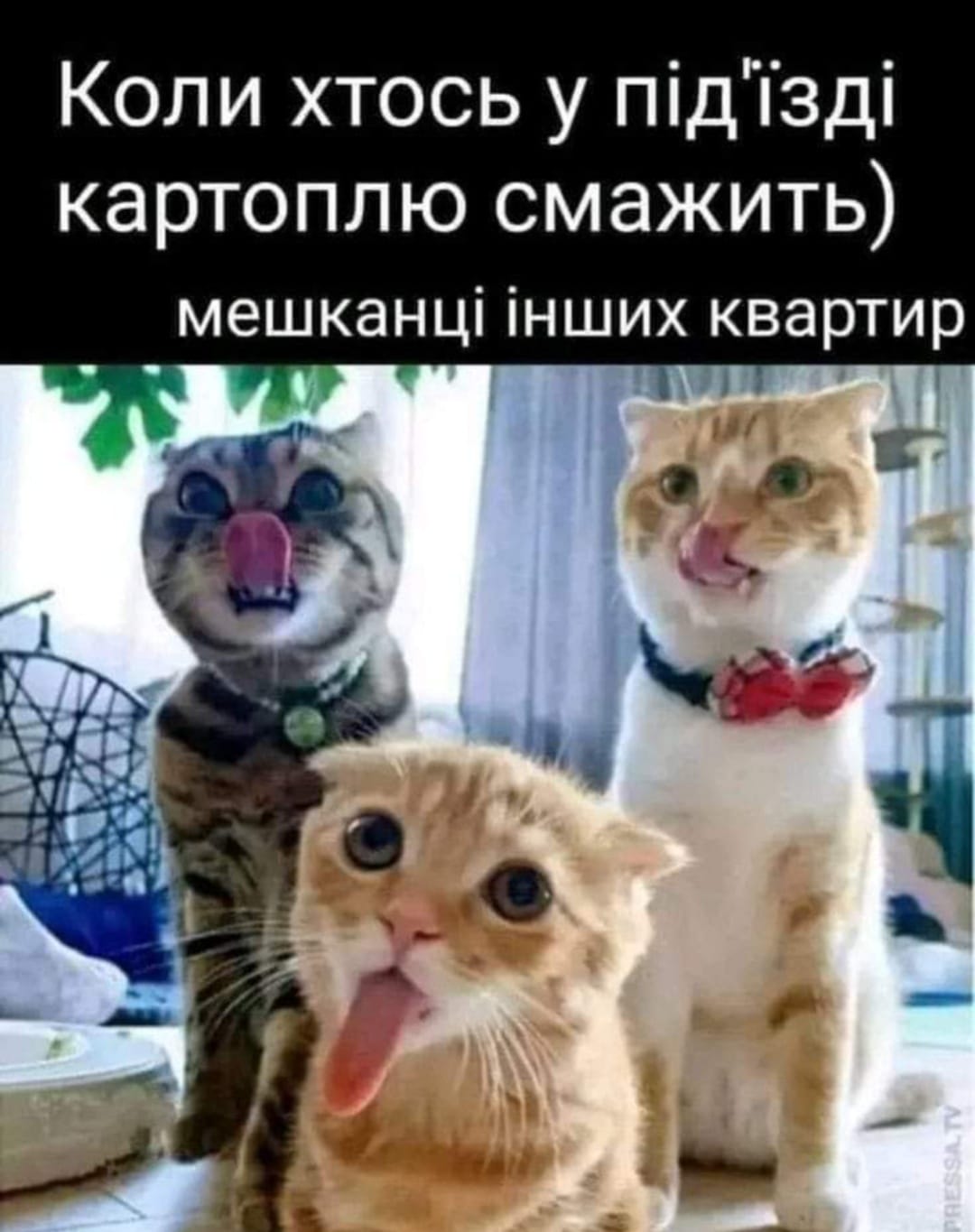 Анекдоти про їжу