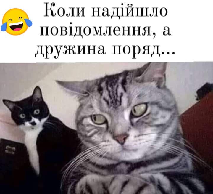 Анекдоти про чоловіків та жінок