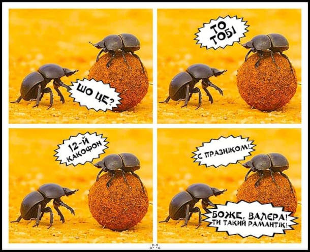 Анекдоти про чоловіків та жінок