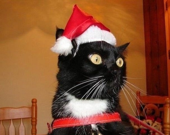 Анекдоти про Новий рік і Різдво